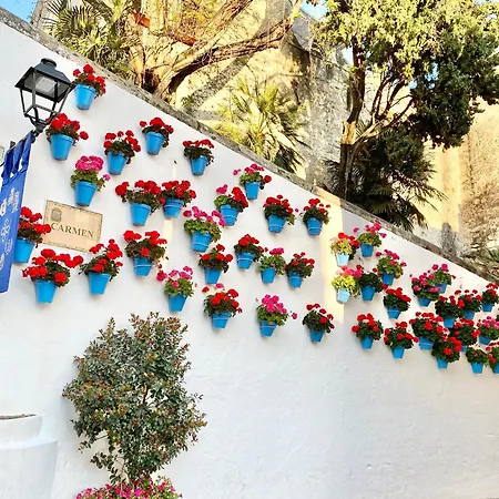 The Center Flat- Eaw Homes Apartment Marbella