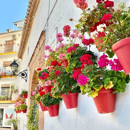 アパート The Center Flat- Eaw Homes *